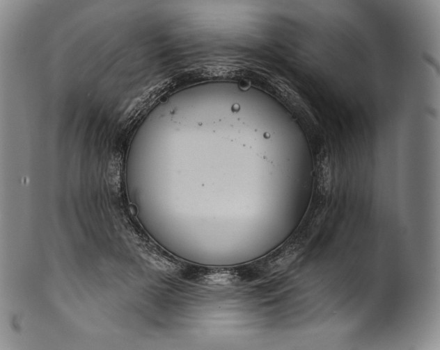 X0000102240505200808081439