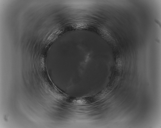 X0000102240506200808081439