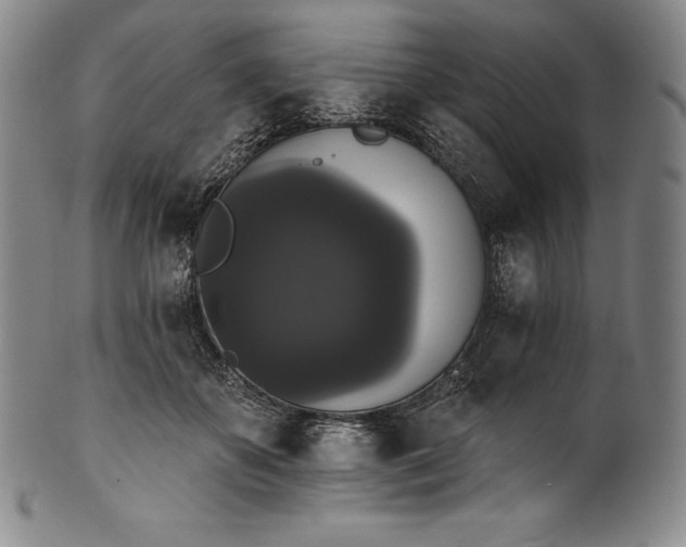 X0000102240507200808081439