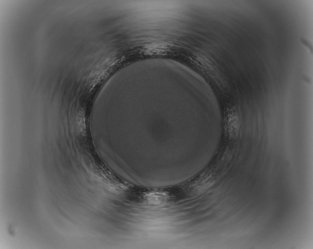 X0000102240508200808081439