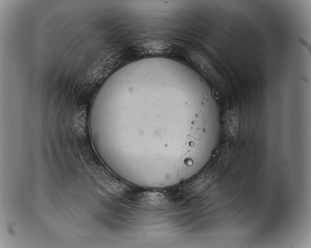 X0000102240509200808081439