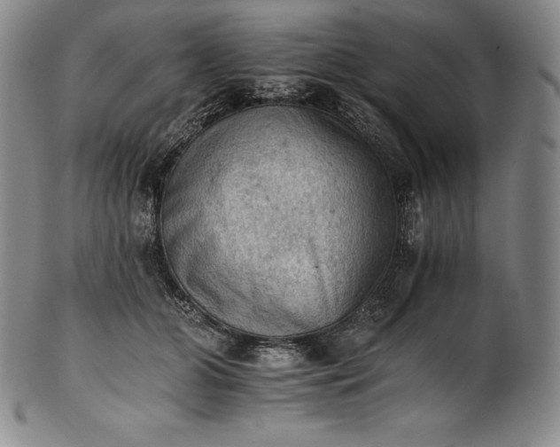 X0000102240510200808081439