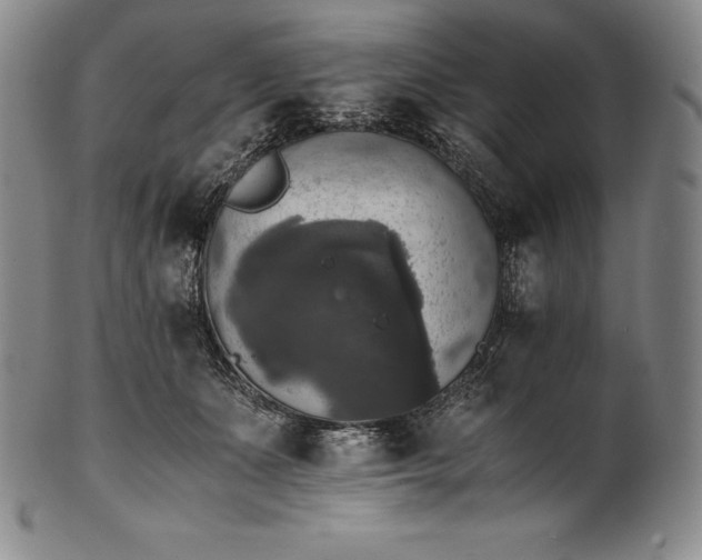 X0000102240511200808081439