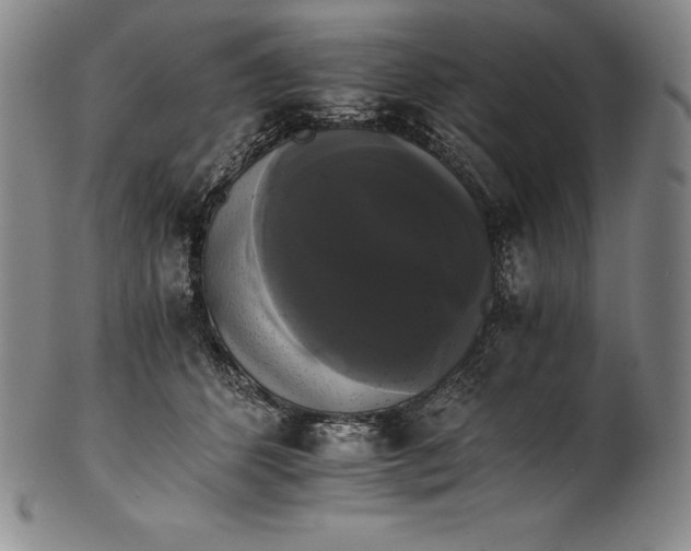 X0000102240512200808081439