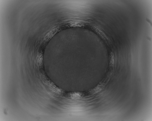 X0000102240513200808081439