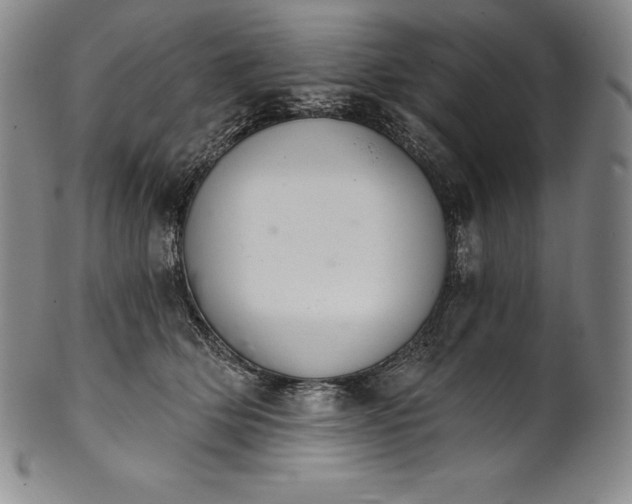 X0000102240514200808081439