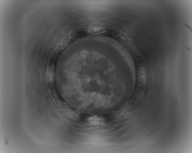 X0000102240515200808081439