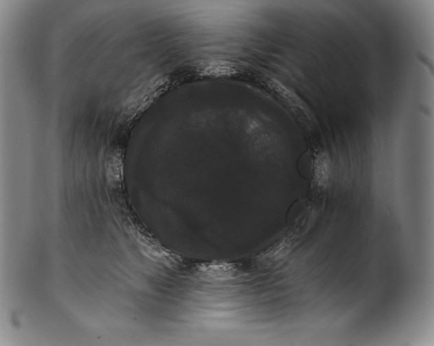 X0000102240517200808081439