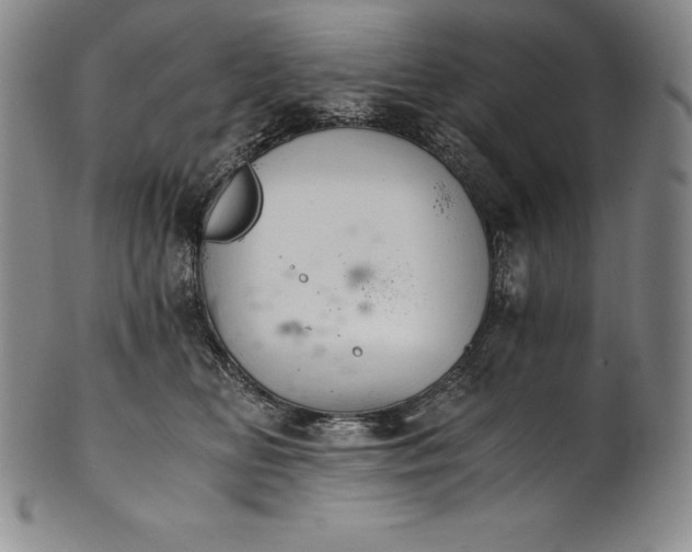 X0000102240518200808081439