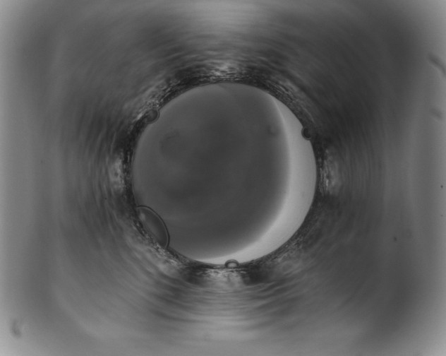 X0000102240520200808081439