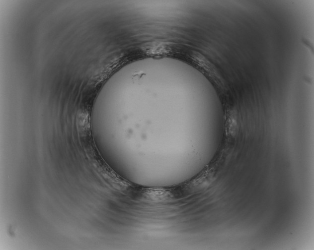 X0000102240521200808081439