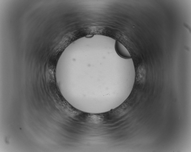 X0000102240522200808081439