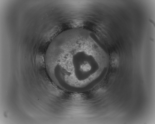 X0000102240523200808081439