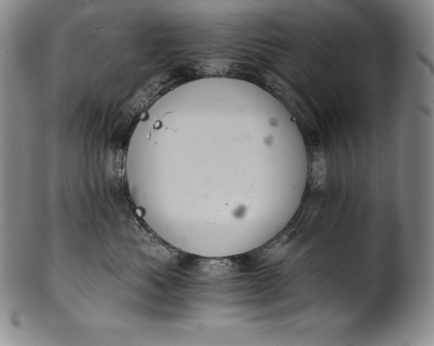 X0000102240525200808081439