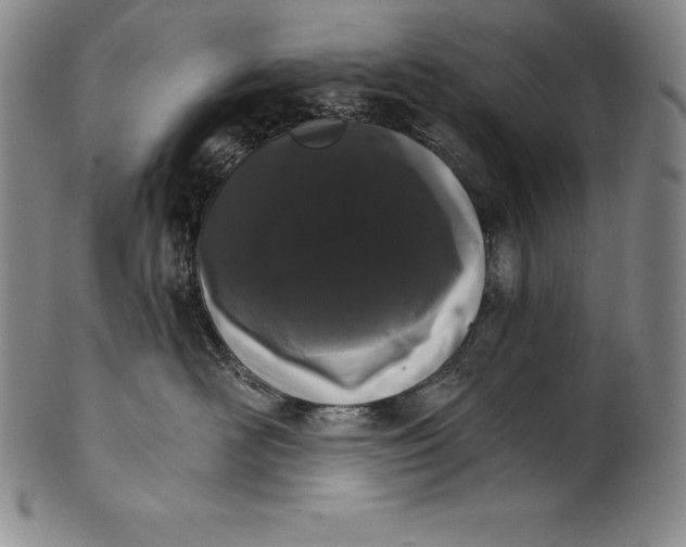 X0000102240526200808081439