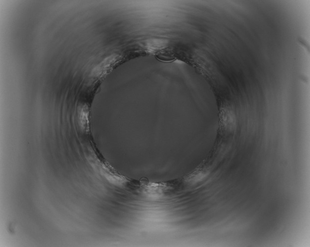 X0000102240527200808081439