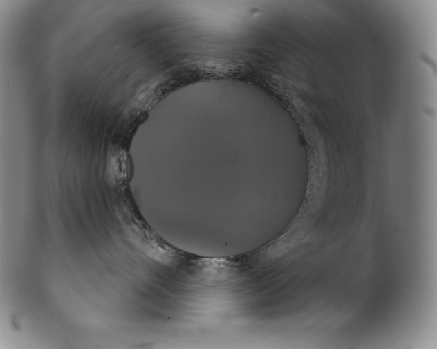 X0000102240528200808081439