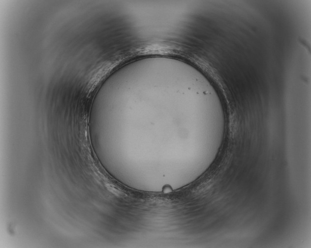 X0000102240529200808081438