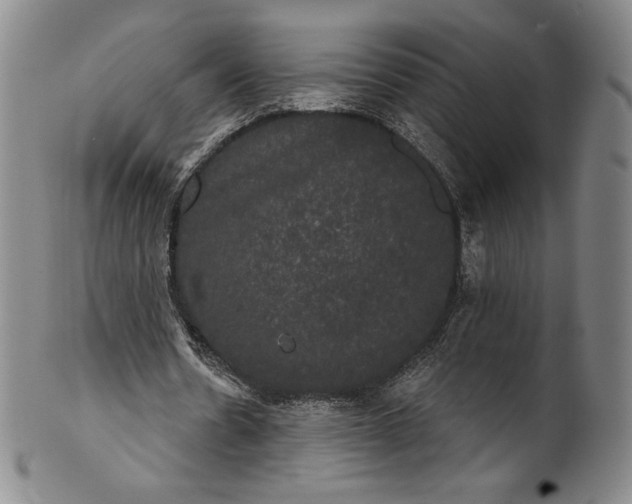 X0000102240530200808081438