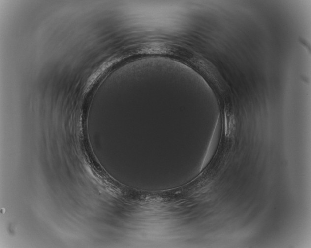 X0000102240531200808081438