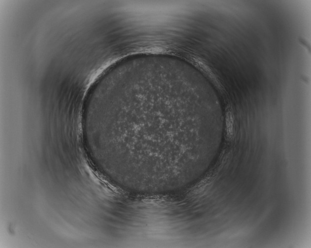 X0000102240532200808081438