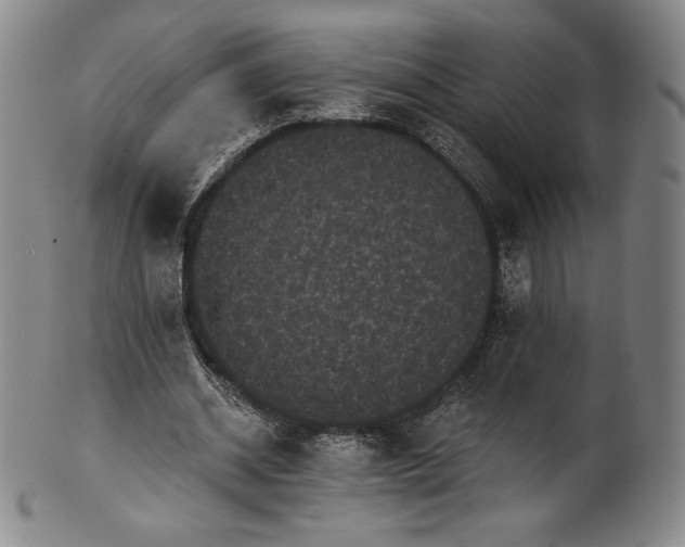 X0000102240534200808081438