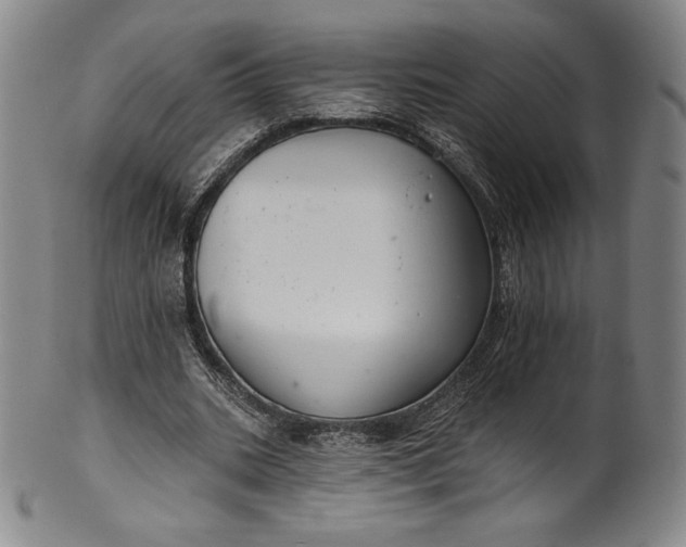 X0000102240535200808081438