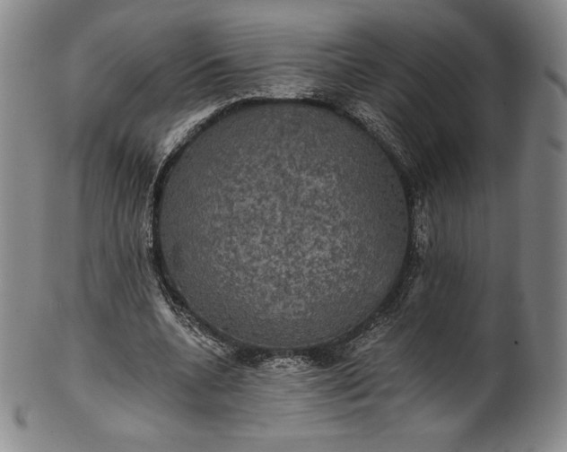 X0000102240536200808081438