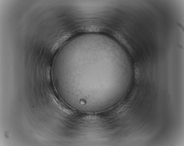 X0000102240537200808081438