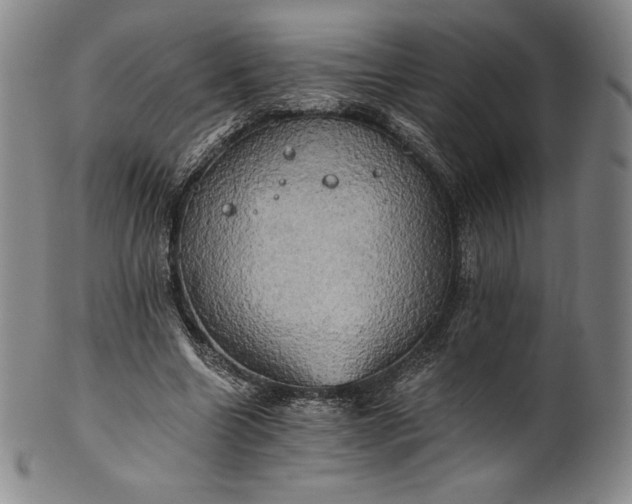 X0000102240538200808081438