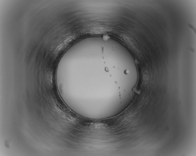 X0000102240539200808081438