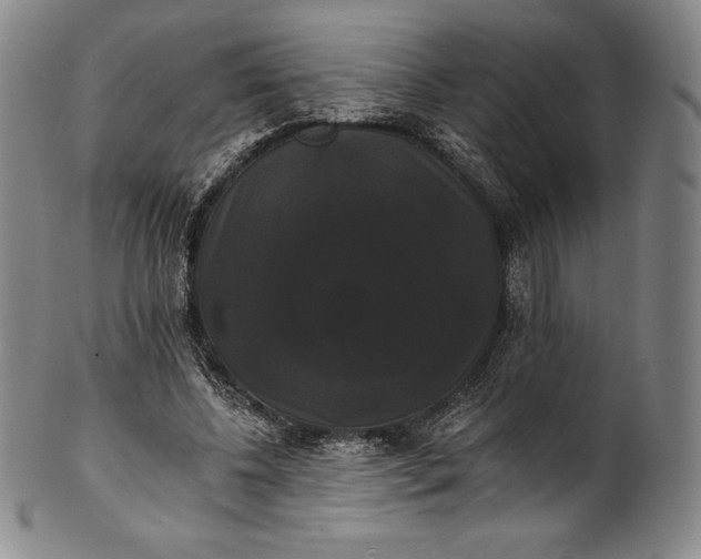 X0000102240540200808081438