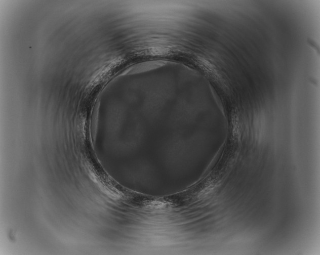 X0000102240542200808081438