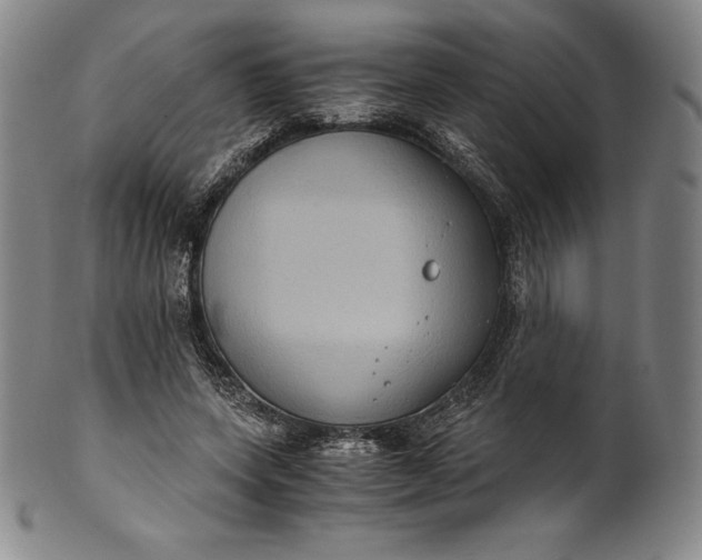 X0000102240543200808081438