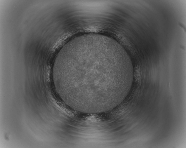 X0000102240544200808081438