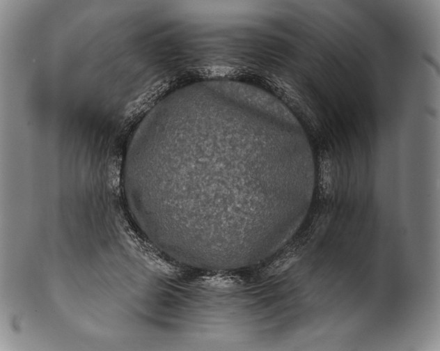 X0000102240545200808081438