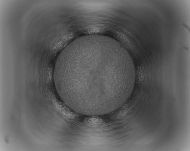 X0000102240546200808081438