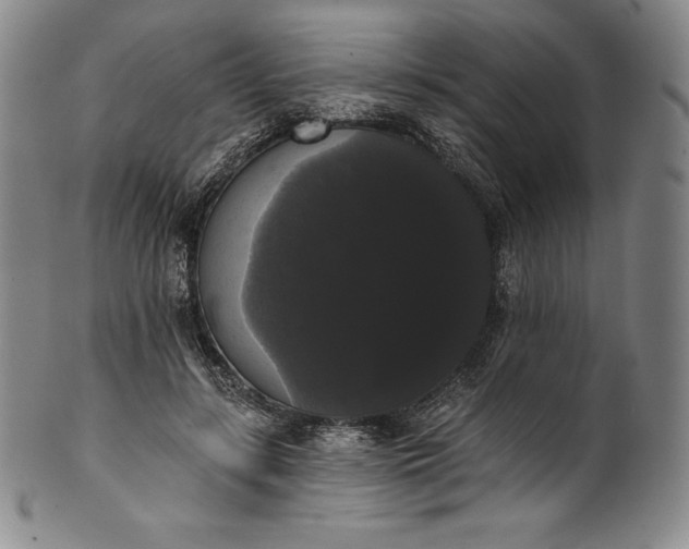 X0000102240547200808081438