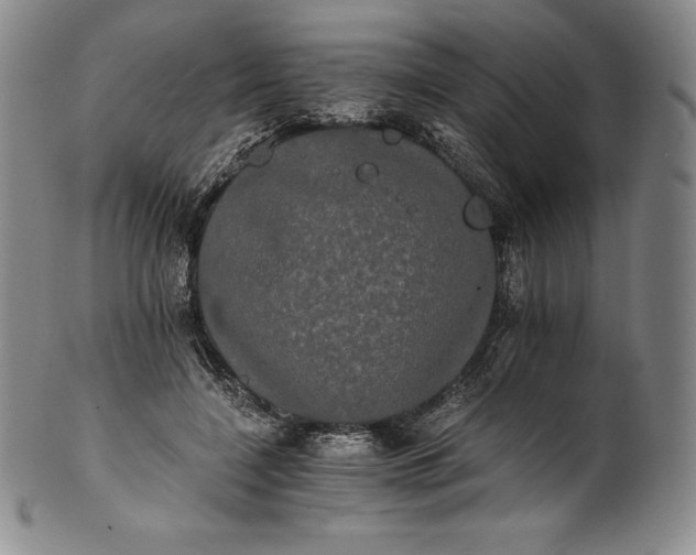 X0000102240548200808081439