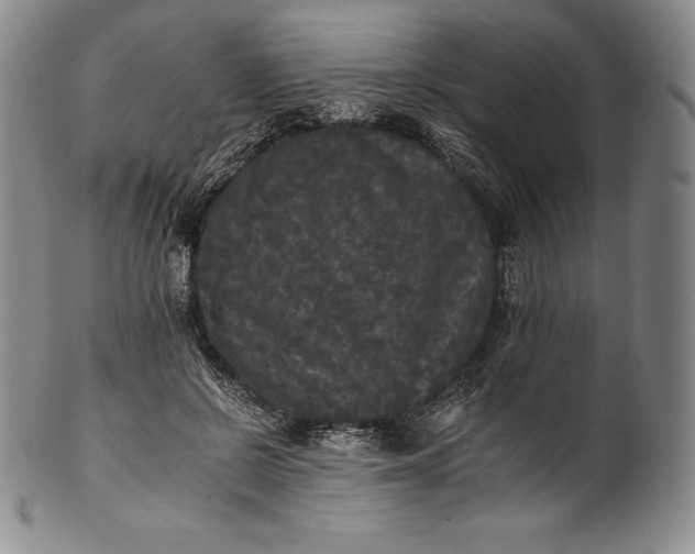 X0000102240550200808081439