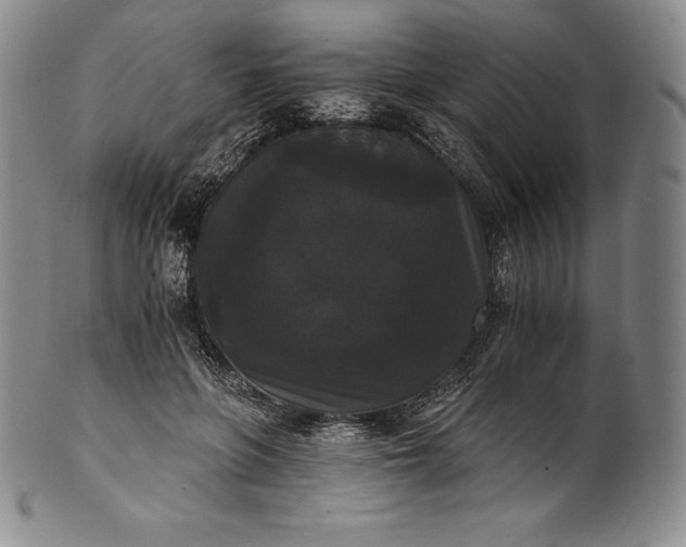 X0000102240551200808081439