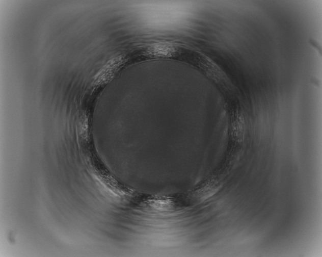 X0000102240552200808081439