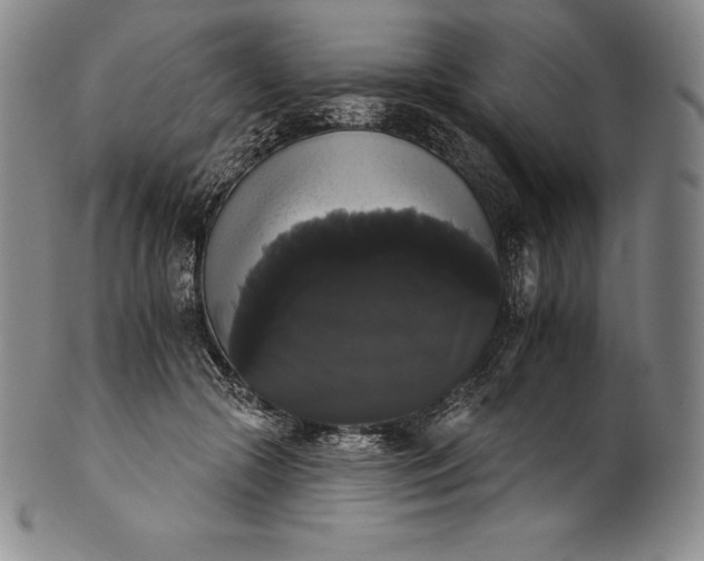 X0000102240553200808081439