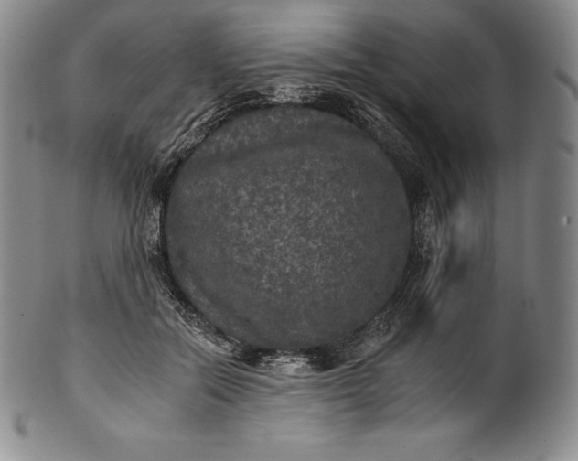 X0000102240554200808081439