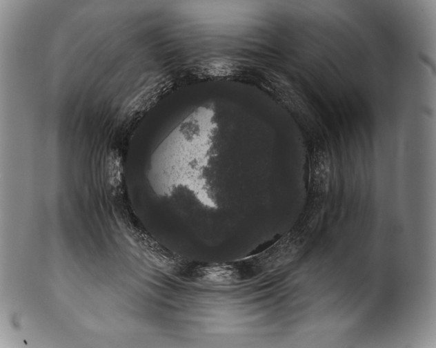 X0000102240555200808081439