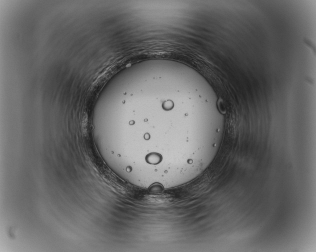 X0000102240556200808081439