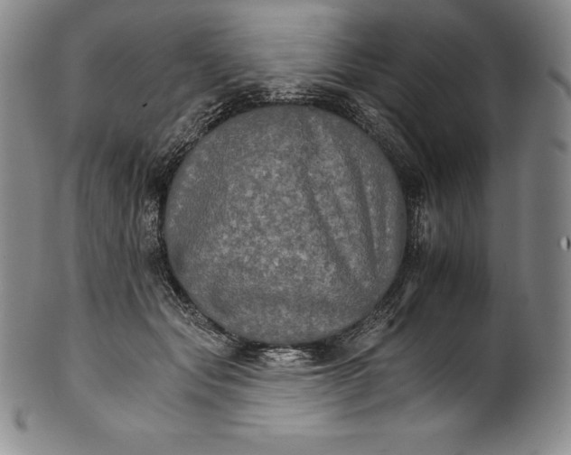 X0000102240557200808081439