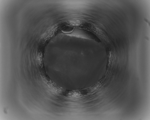 X0000102240559200808081439