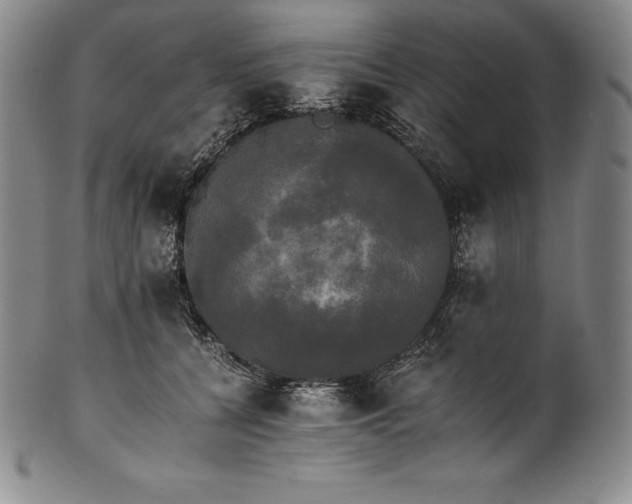 X0000102240560200808081439