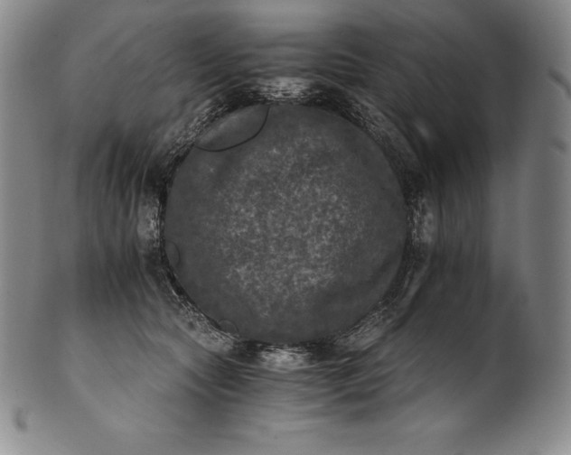 X0000102240561200808081439